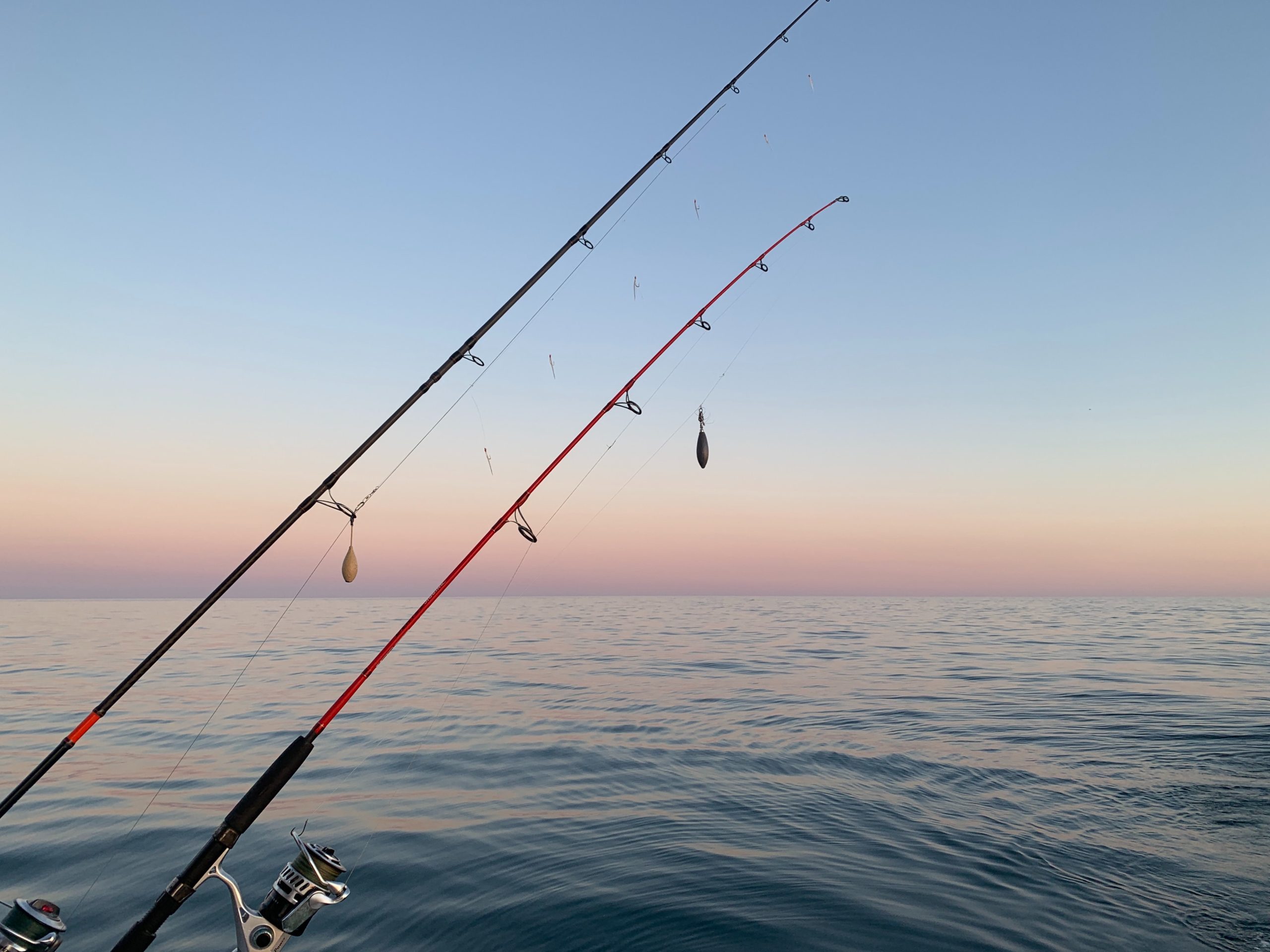 Photograph of two fishing rods overlooking the ocean